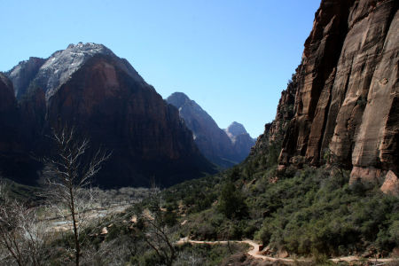 A Mountain Vista in Zion NP