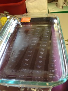 tissue micro array