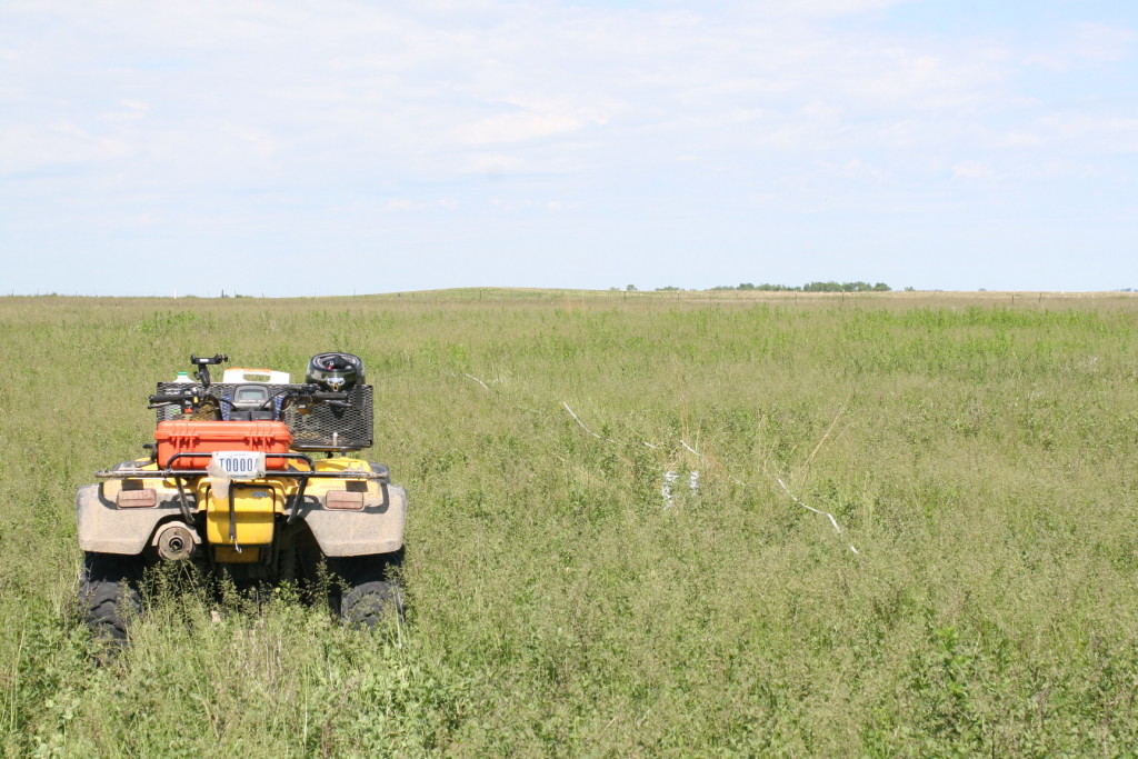 Belt Transect Eric Hanson