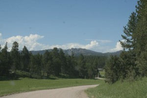 Black Hills area