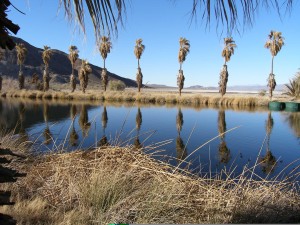 Lake Tuende at the Desert Studies Center 